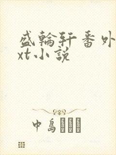 盛轮轩番外篇txt小说