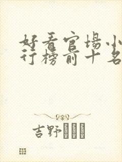 好看官场小说排行榜前十名