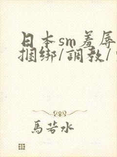 日本sm羞辱/捆绑/调教/束缚封面