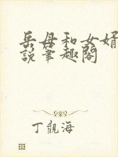 岳母和女婿的小说笔趣阁