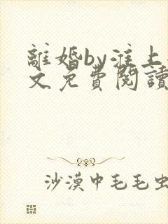 离婚by淮上全文免费阅读