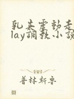 乳夹震动走绳play调教小说