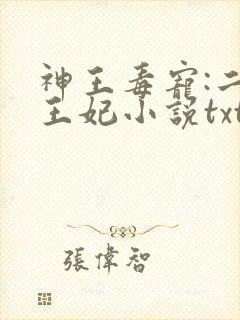 神王毒宠:二嫁王妃小说txt