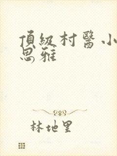 顶级村医小说陈思雅