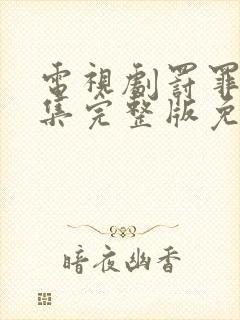 电视剧罚罪二全集完整版免费观看封面