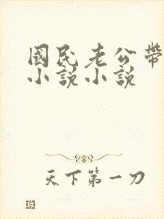 国民老公带回家小说小说