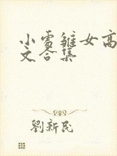 小处雏女高辣h文合集