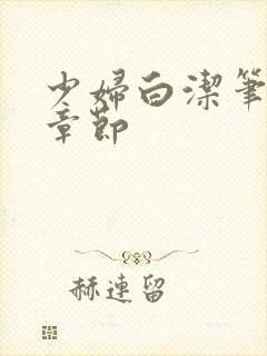 少妇白洁笔趣阁章节