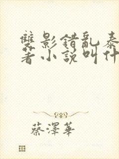 双影错乱泰剧原著小说叫什么名字封面