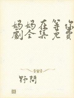 妈妈在等你电视剧全集免费观看完整版封面