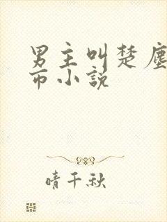 男主叫楚尘的都市小说