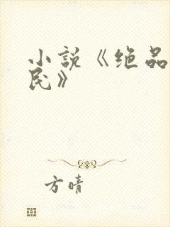 小说《绝品小农民》