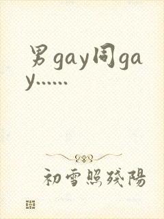 男gay同gay......封面
