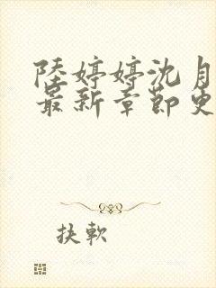 陆婷婷沈月小说最新章节更新封面