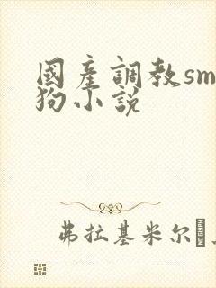 国产调教sm母狗小说