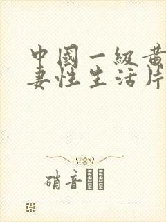 中国一级黄色夫妻性生活片