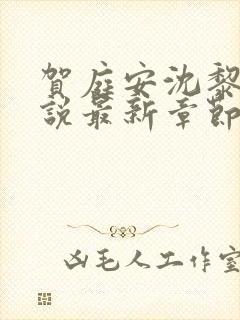 贺庭安沈黎初小说最新章节更新内容封面