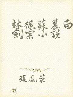 林枫苏慕白神霄剑宗小说封面