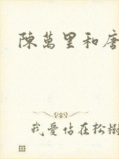 陈万里和唐嫣然