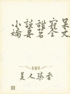 小说甜宠呆萌小娇妻茗全文