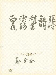 白洁赵敏张倩高义的书叫啥名封面