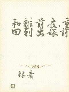 和离前夜,重生回到出嫁前