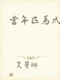 当年匹马戍梁州