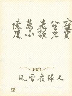 亿万老公宠妻无度小说免费阅读