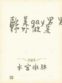 欧美gay男男野外做爰