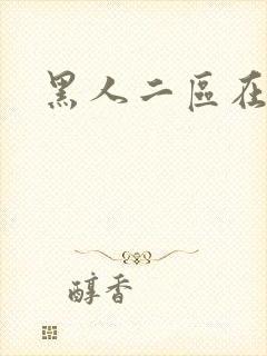 黑人二区在线