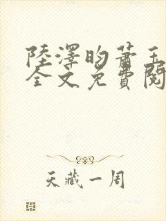 陆泽昀萧玉小说全文免费阅读最新章