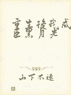 重生后我成了权臣黑月光