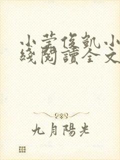 小莹俊凯小说在线阅读全文