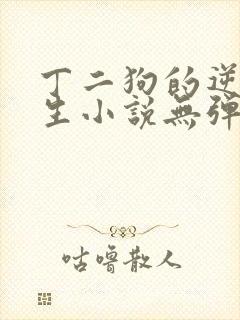 丁二狗的逆袭人生小说无弹窗封面