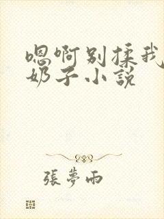 嗯啊别揉我的大奶子小说封面