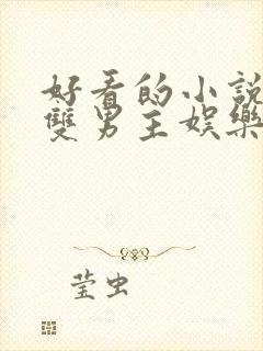 好看的小说推荐双男主娱乐圈