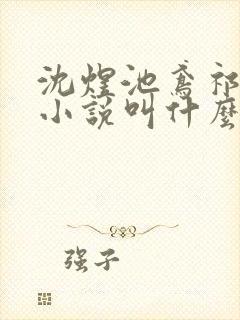 沈煜池鸢祁明远小说叫什么名字