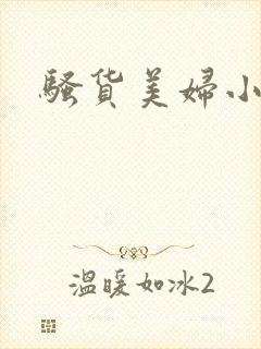 骚货美妇小说封面