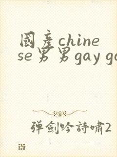 国产chinese男男gay gay视频网站