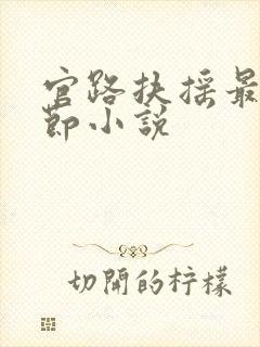 官路扶摇最新章节小说