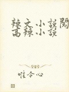 辣文小说阅读网高辣小说封面