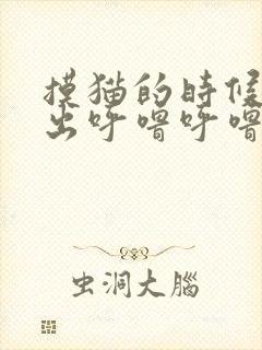 摸猫的时候猫发出呼噜呼噜的声音