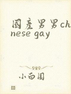 国产男男chinese gay封面