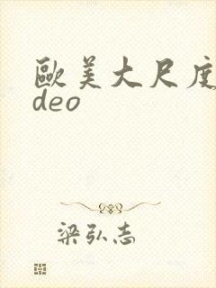 欧美大尺度video