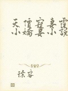 天价宠妻霍总的小娇妻小说封面