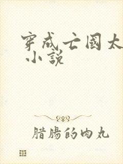 穿成亡国太子妃 小说封面