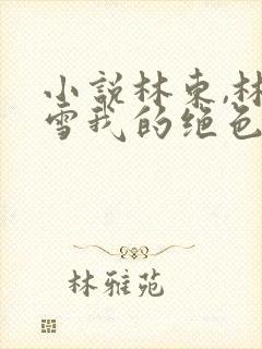 小说林东,林妙雪我的绝色老板娘