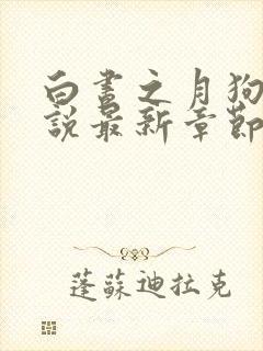 白昼之月狗子小说最新章节免费阅读封面