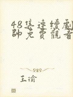 48集连续剧少帅免费观看高清