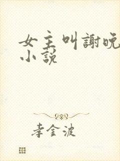 女主叫谢晚晚的小说